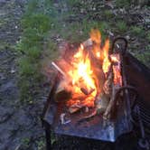 Review photo of Great Falls Campground — Illini State Park by Scott M., March 26, 2020