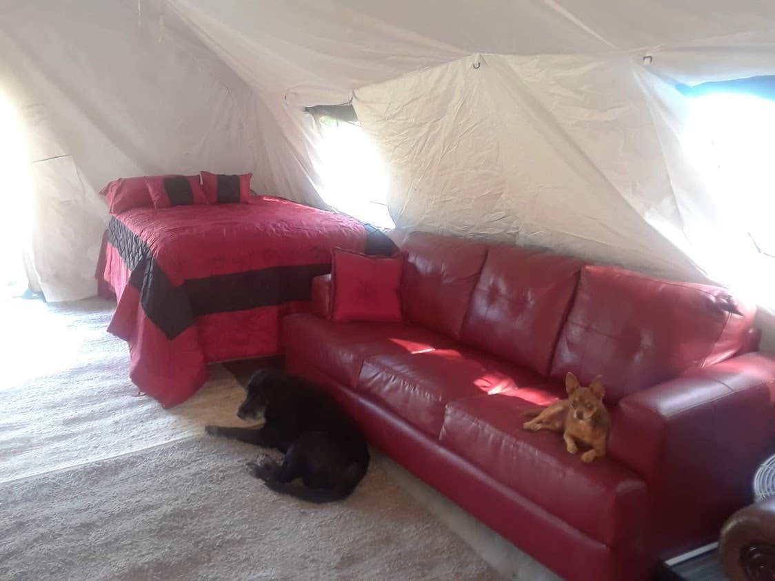 william B.'s photo of glamping accommodations at The Wilton on the Russian River near Fulton, CA