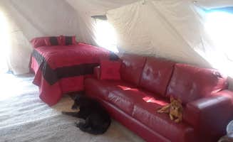 william B.'s photo of camping with pets at The Wilton on the Russian River near Angwin, CA