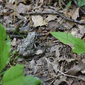 Review photo of Bluewater Bay Campground — Mirror Lake State Park by Katie G., March 27, 2020