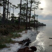 Review photo of Dr. Julian G. Bruce St. George Island State Park Campground by GoWhereYouAreDraw N., March 27, 2020