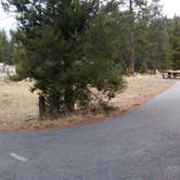 Review photo of Fourth of July Campground by Dexter I., March 27, 2020