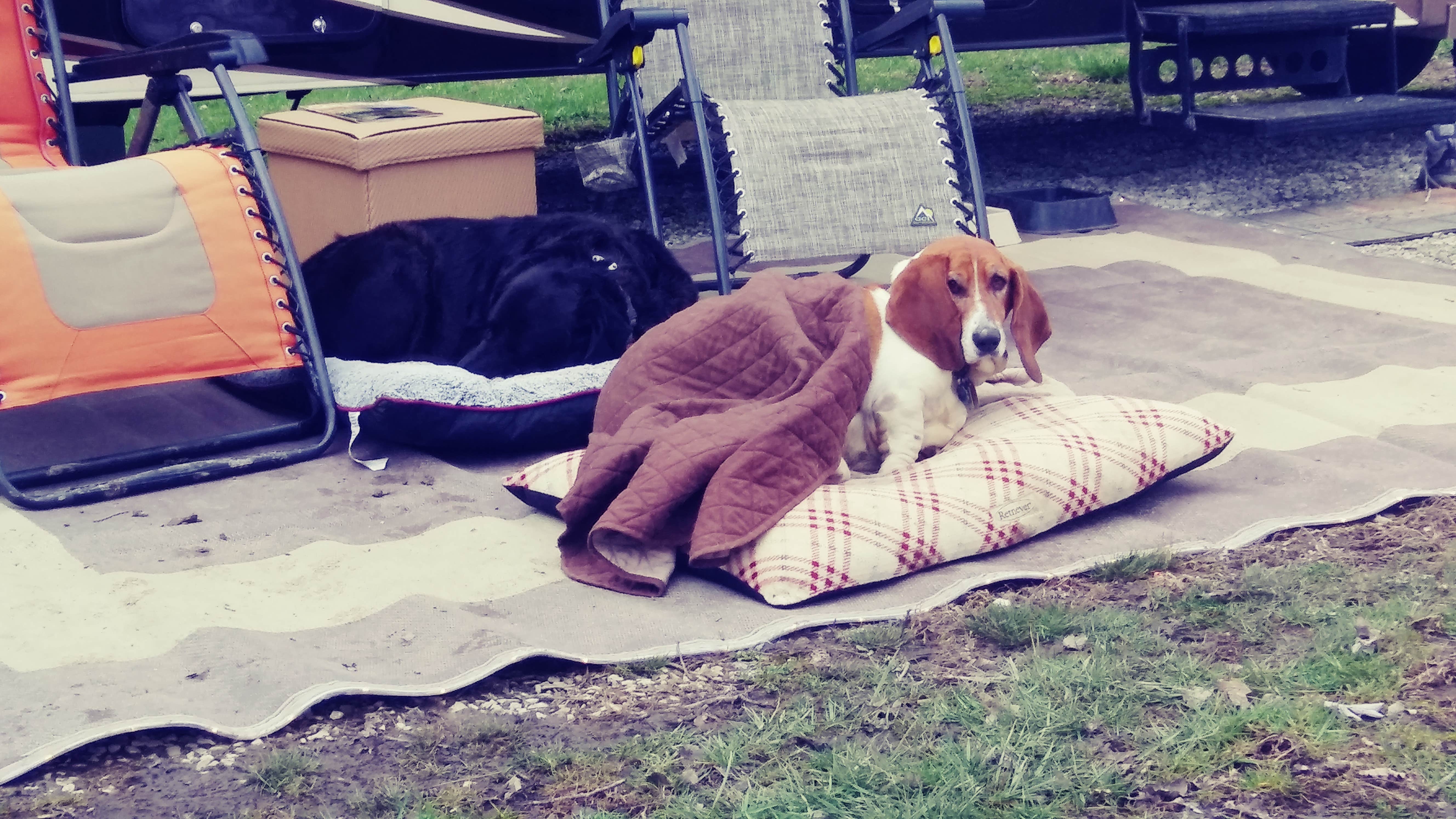 Camper-submitted photo at Kincaid Lake State Park Campground near Williamstown, KY