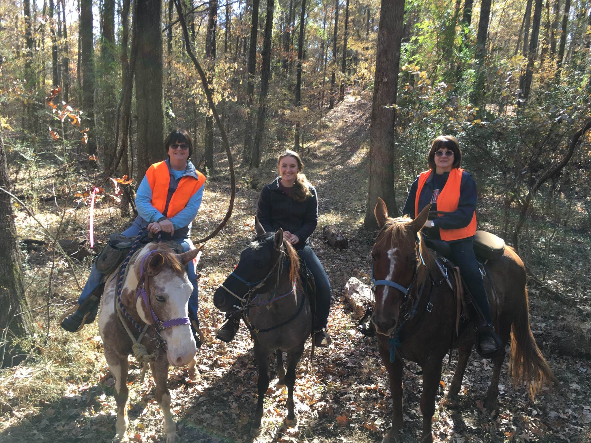 Camping near Persimmon Hill(enid Lake): Fords Well Horse Camp, Sam Rayburn Reservoir, Mississippi