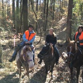 Review photo of Fords Well Horse Camp by Nancy P., March 28, 2020
