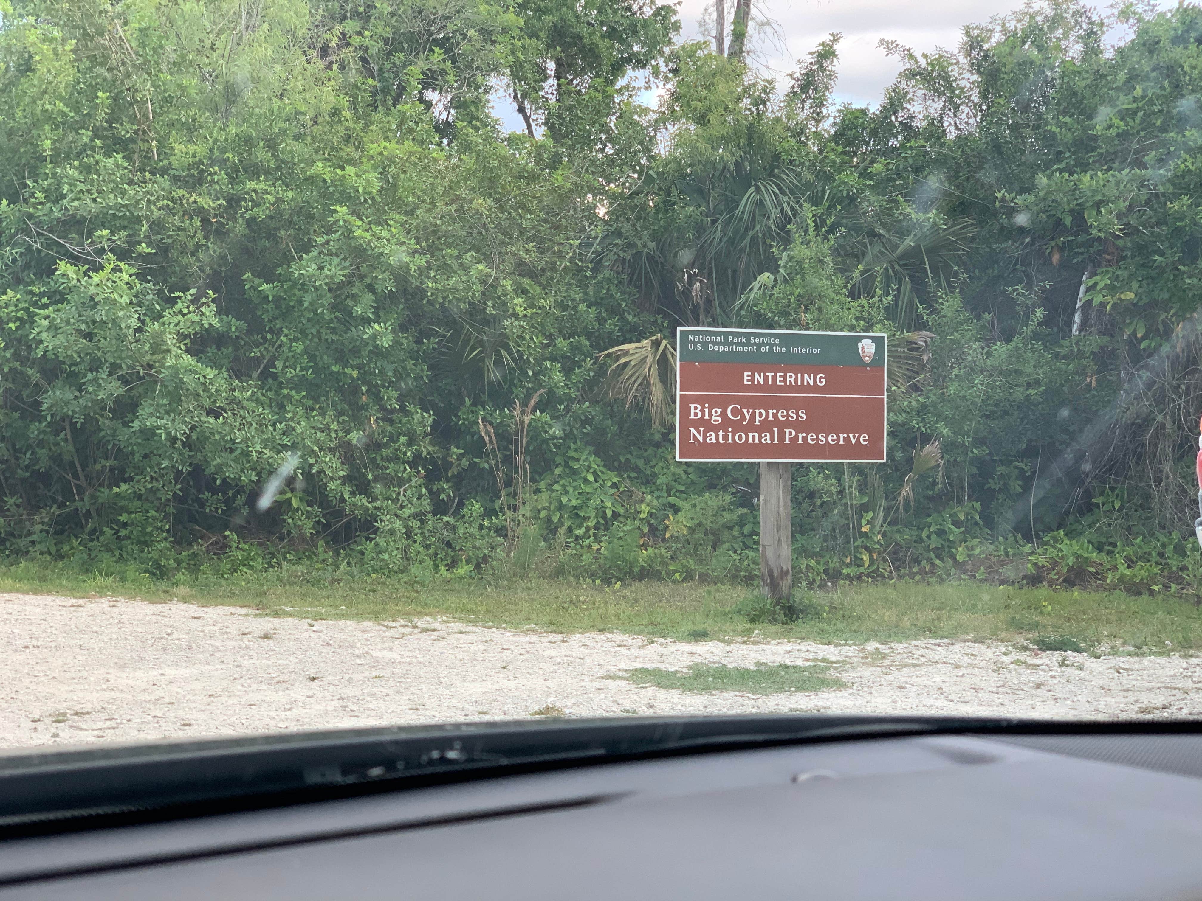 Camper submitted image from Gator Head Campground — Big Cypress National Preserve - 4