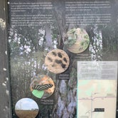 Review photo of Bear Island - Big Cypress WMA by Dave C., March 28, 2020