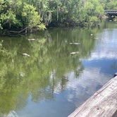 Review photo of Monument Lake Campground — Big Cypress National Preserve by Dave C., March 28, 2020
