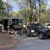 Review photo of Palmetto State Park Campground by Rachel H., March 28, 2020