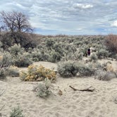 Review photo of Bruneau Dunes State Park Campground by Andrea M., March 28, 2020
