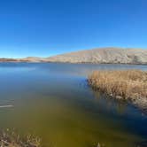 Review photo of Bruneau Dunes State Park Campground by Andrea M., March 28, 2020