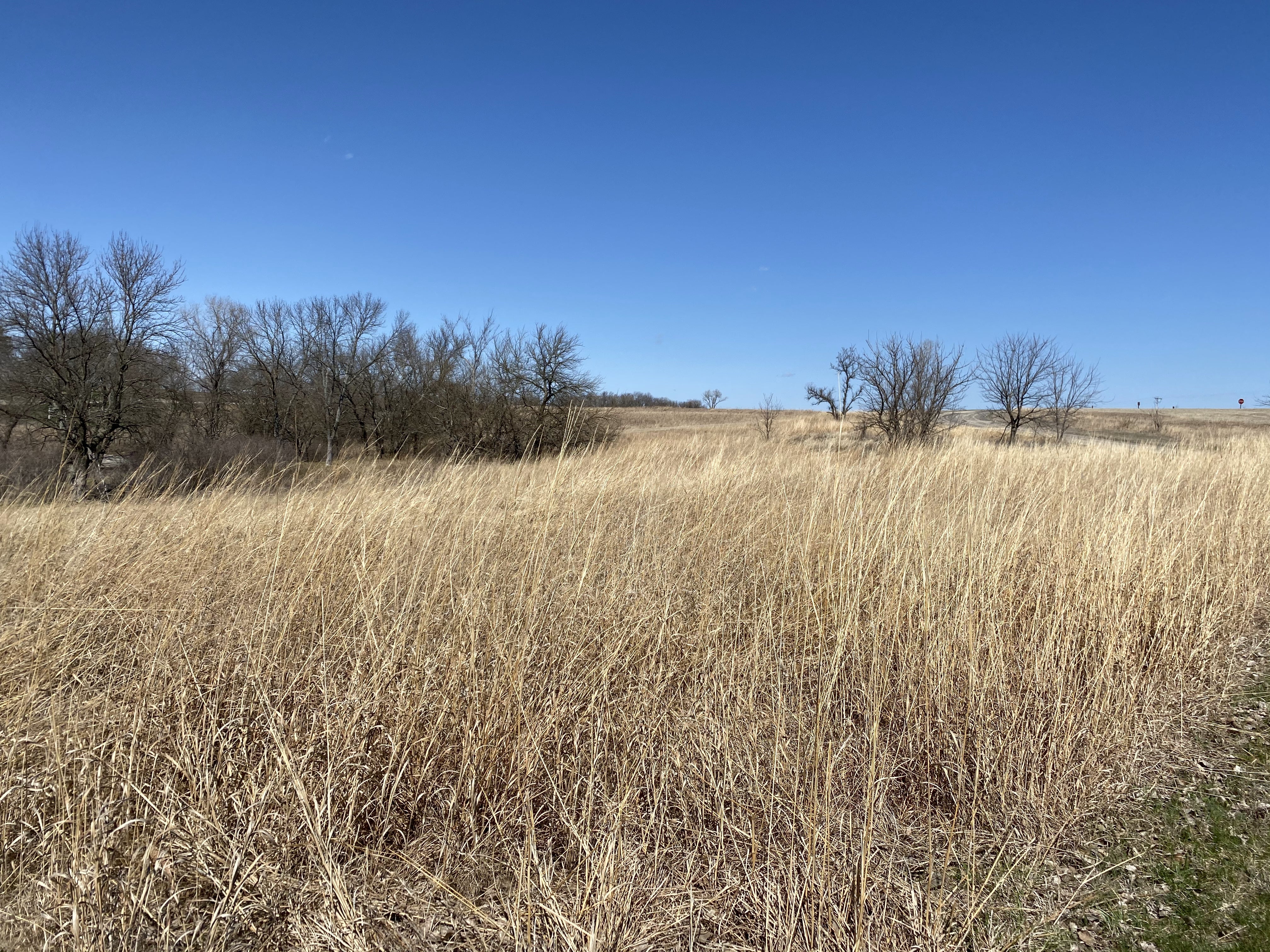 Prairie view from Doud Loop