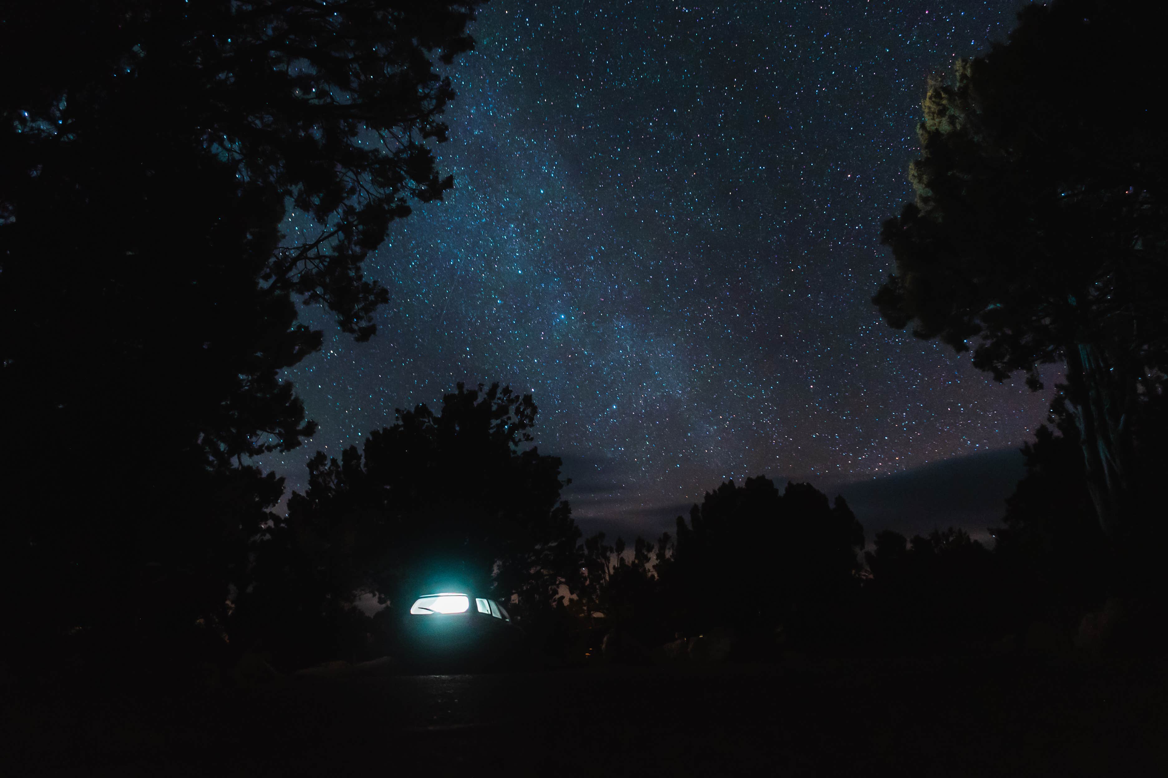 Camper-submitted photo at Coral Pink Sand Dunes State Park Campground near Hildale, UT