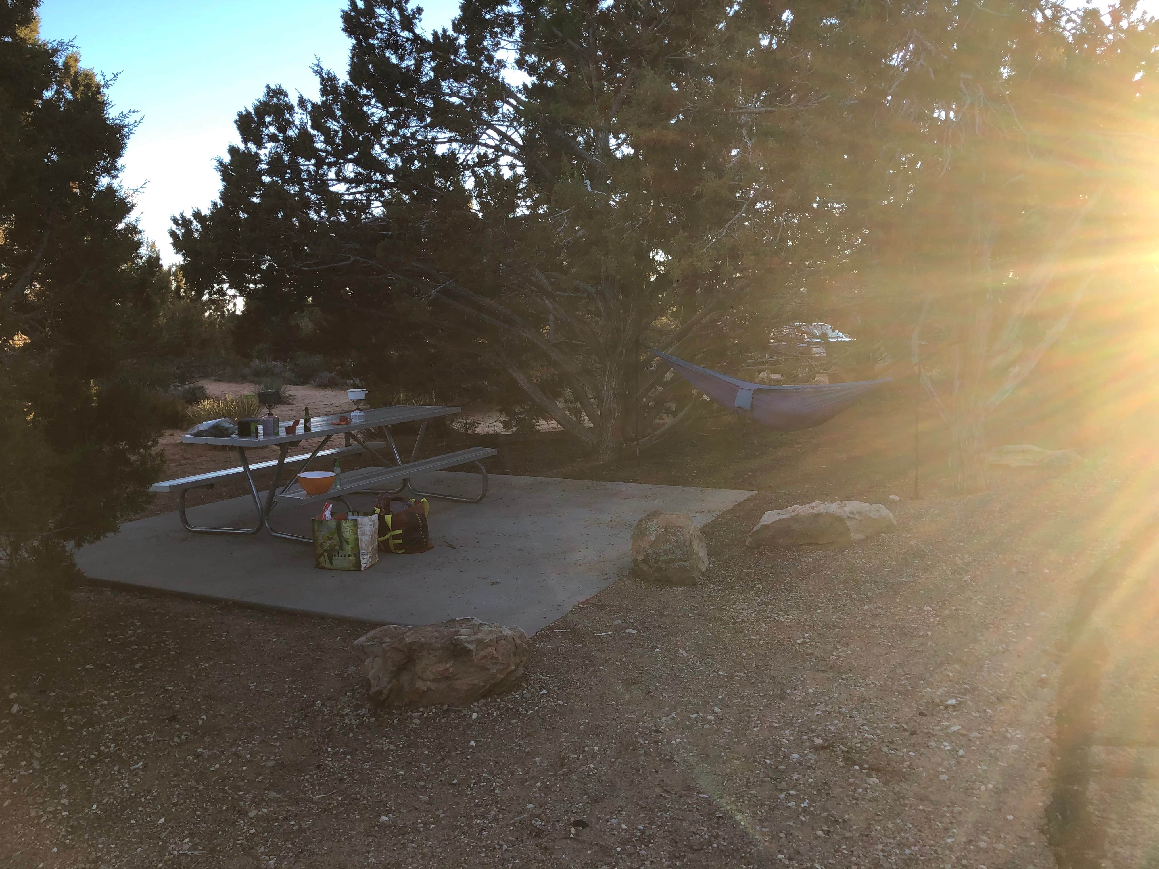 Camper submitted image from Coral Pink Sand Dunes State Park Campground - 5