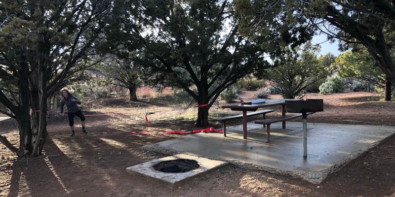 Camper submitted image from Coral Pink Sand Dunes State Park Campground