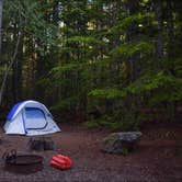 Review photo of Fish Creek Campground — Glacier National Park by Katie M., March 29, 2020