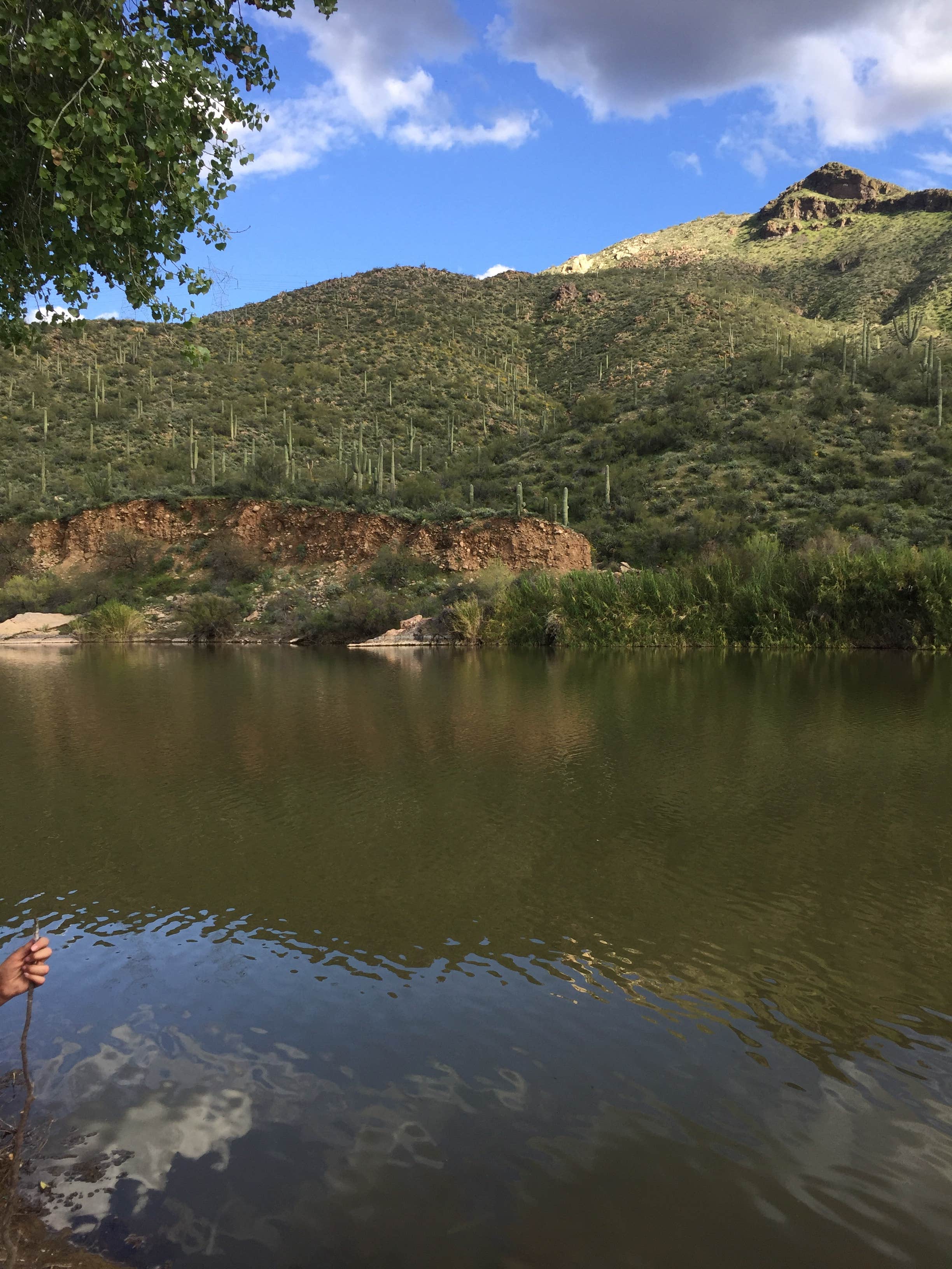 Camper submitted image from Tonto National Forest Riverside Campground - 5