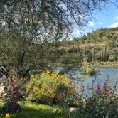 Review photo of Lake Pleasant Regional Park Campground by Tom W., March 28, 2020
