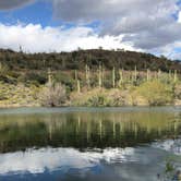 Review photo of Lake Pleasant Regional Park Campground by Tom W., March 28, 2020