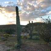 Review photo of Lake Pleasant Regional Park Campground by Tom W., March 28, 2020