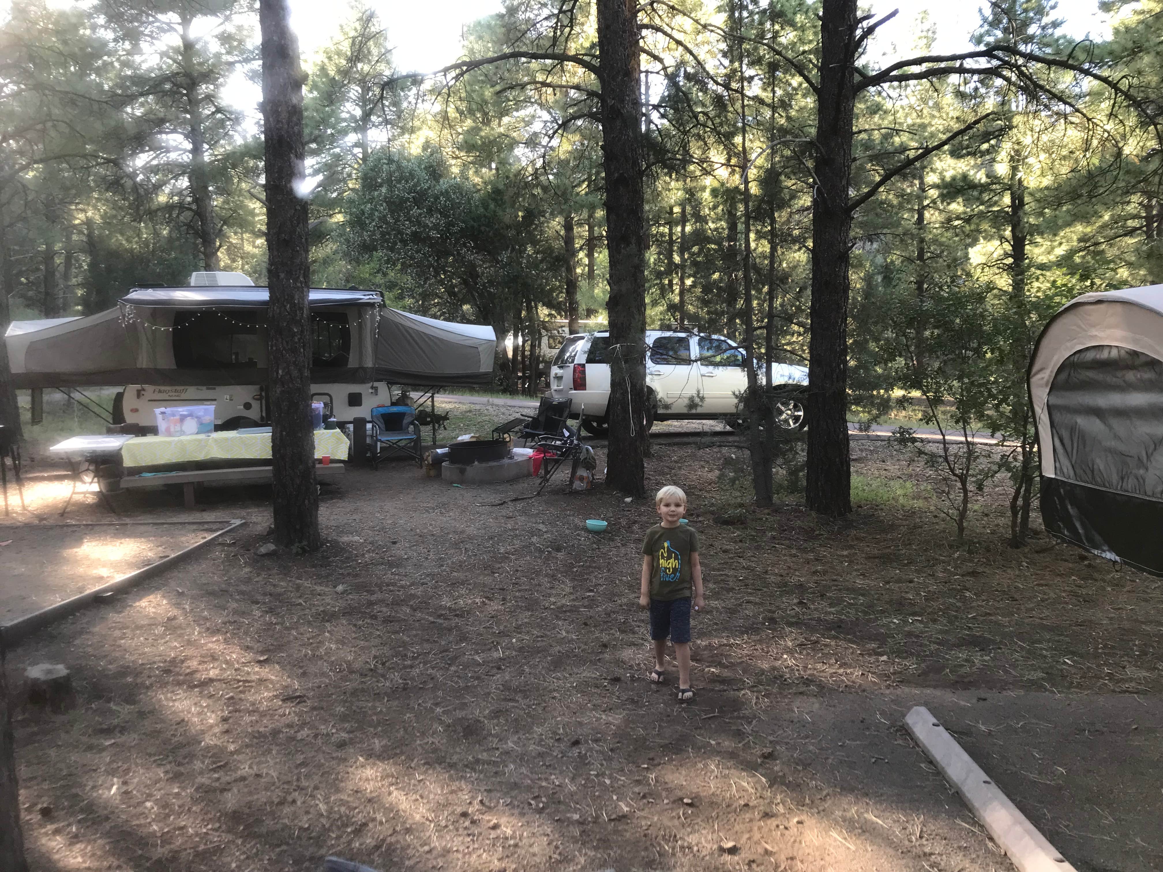 Tom W.'s photo at Potato Patch Campground near Cottonwood, AZ
