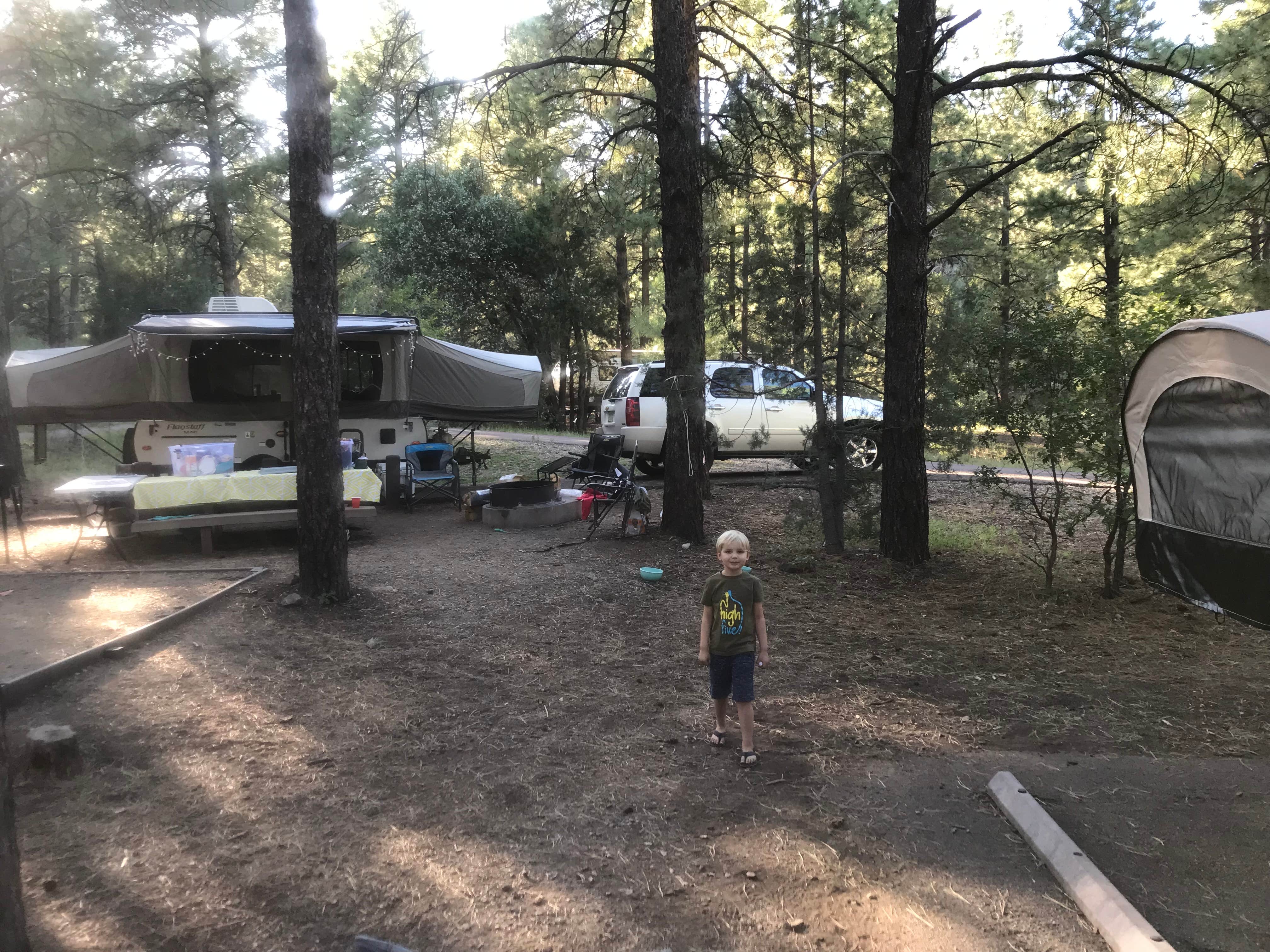 Camper submitted image from Potato Patch Campground - 4