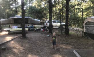 Tom W.'s photo at Potato Patch Campground near Paulden, AZ