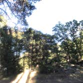 Review photo of Potato Patch Campground by Tom W., March 29, 2020