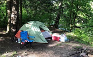 Kristoff M.'s photo at Gandy Creek Dispersed Camping near Seneca Rocks, WV