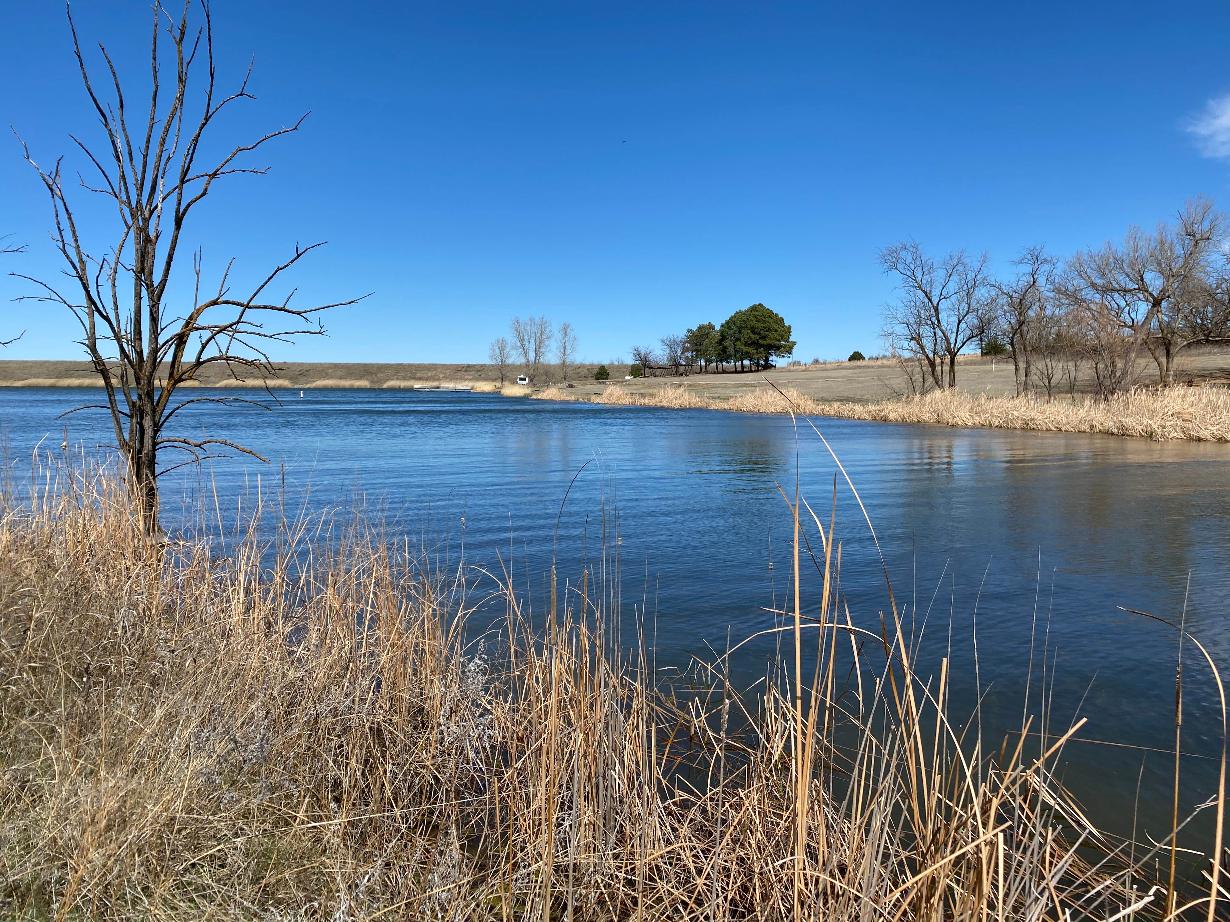 Camper-submitted photo at Skipout Campground near Canadian, TX