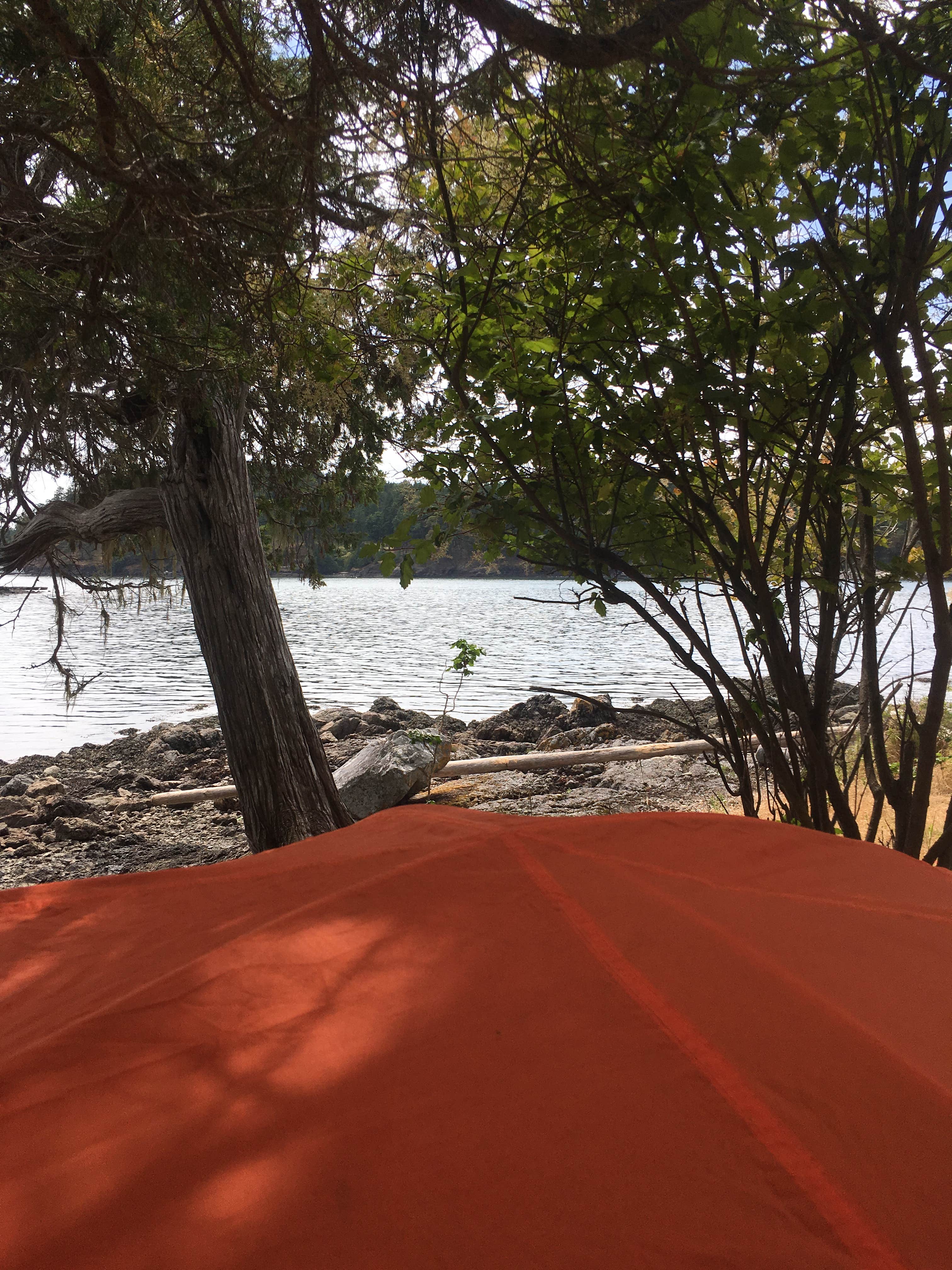 Annie C.'s photo of tent camping at Posey Island State Park Campground near Anacortes, WA