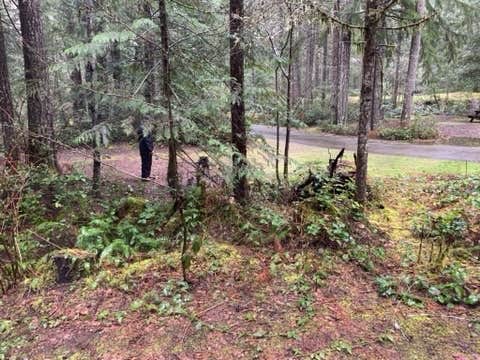 Camper-submitted photo at Dow Creek Resort near Belfair, WA