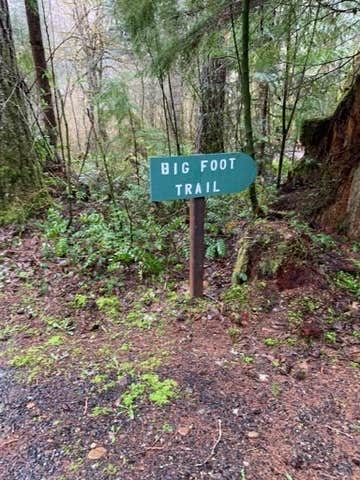 Camper-submitted photo at Dow Creek Resort near Belfair, WA