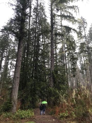 Camper-submitted photo at Dow Creek Resort near Belfair, WA