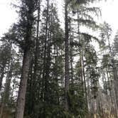 Review photo of Dow Creek Resort by Stephanie S., March 30, 2020