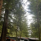 Review photo of Ramblin' Redwoods Campground & RV Park by Louraine F., March 30, 2020