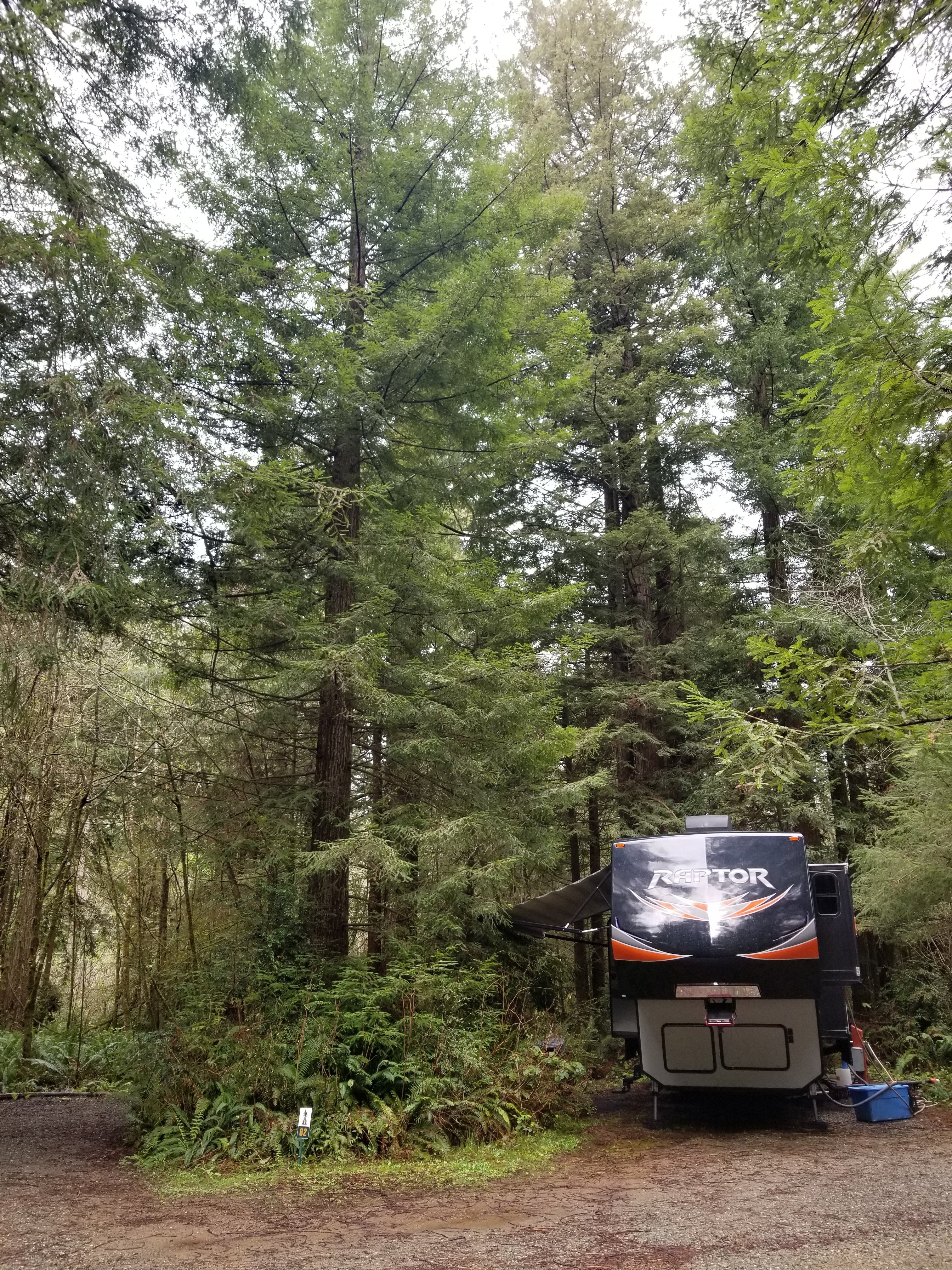 Camper submitted image from Ramblin' Redwoods Campground & RV Park - 5