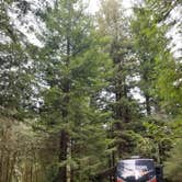 Review photo of Ramblin' Redwoods Campground & RV Park by Louraine F., March 30, 2020