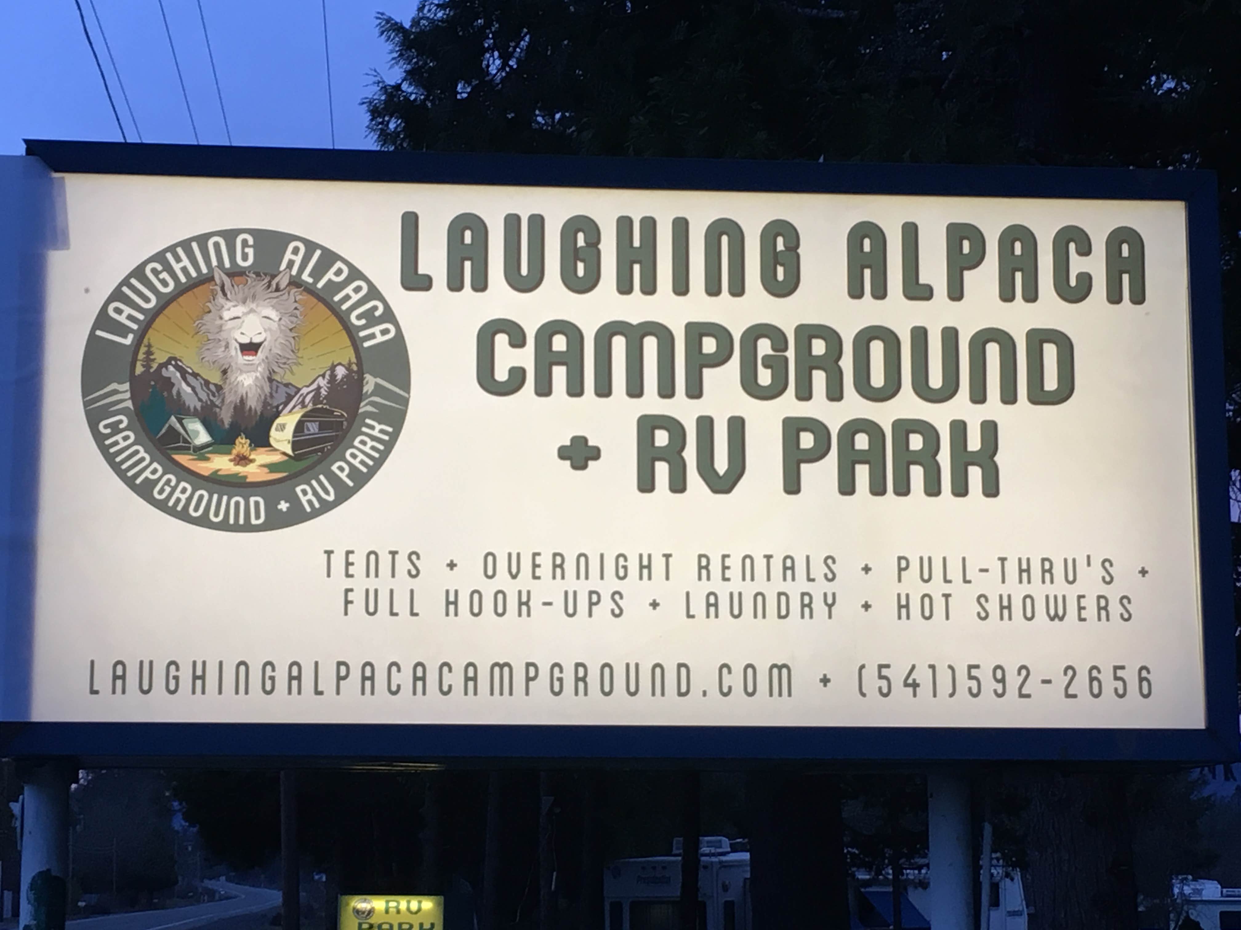 Camper submitted image from Laughing Alpaca Campground + RV Park - 3