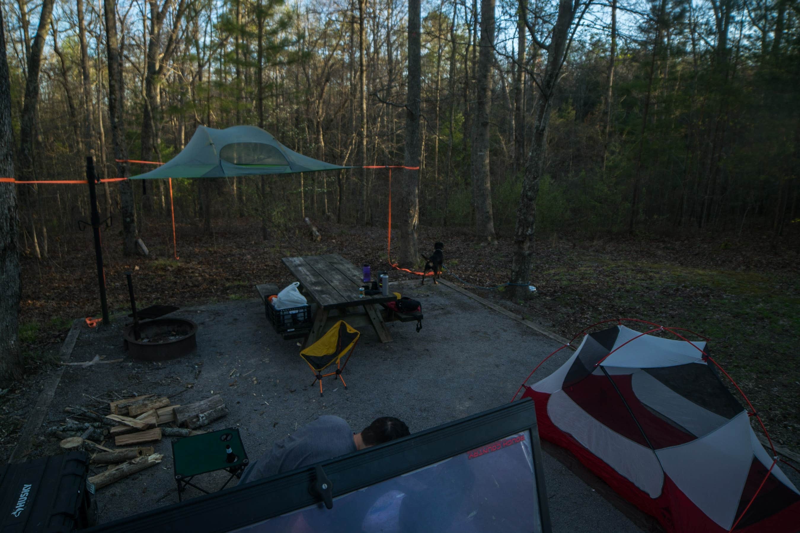 Tyler J.'s photo at Chilhowee near Benton, TN