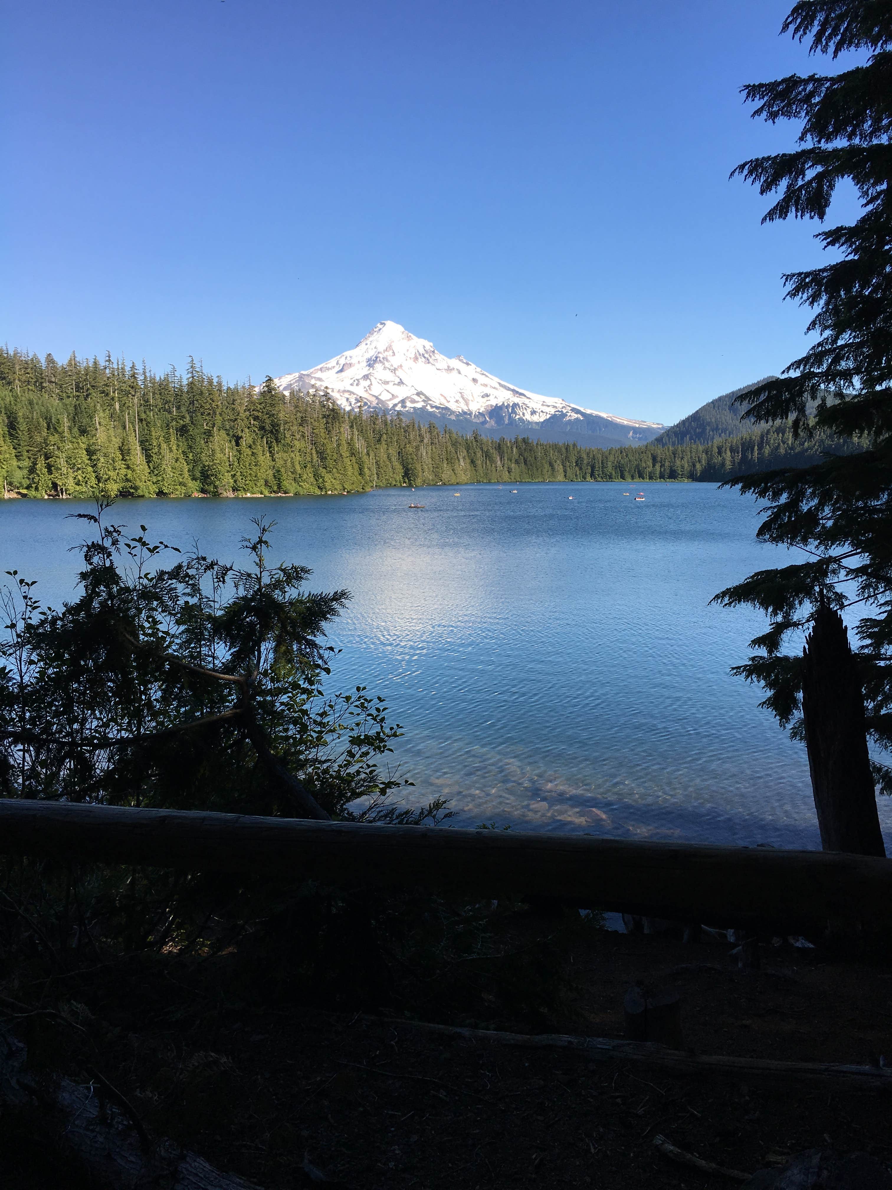 Camper submitted image from Lost Lake Resort And Campground — Mt. Hood National Forest - 3