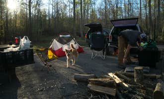 Camping near Sugarloafers on the Lower Ocoee River: Chilhowee , Benton, Tennessee