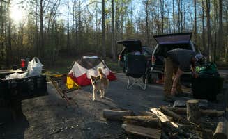 Tyler J.'s photo at Chilhowee near Ocoee, TN
