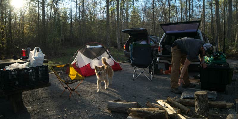 Camper submitted image from Chilhowee