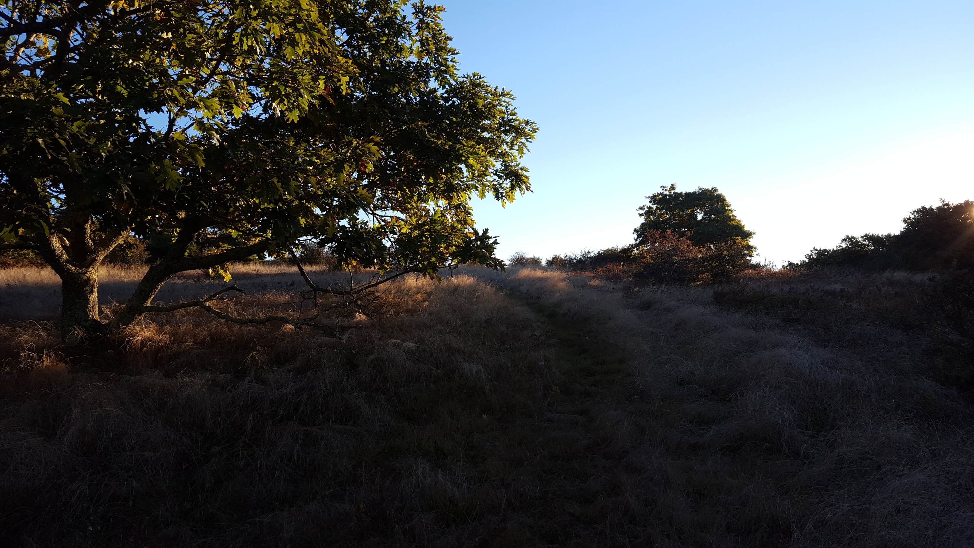 Nature