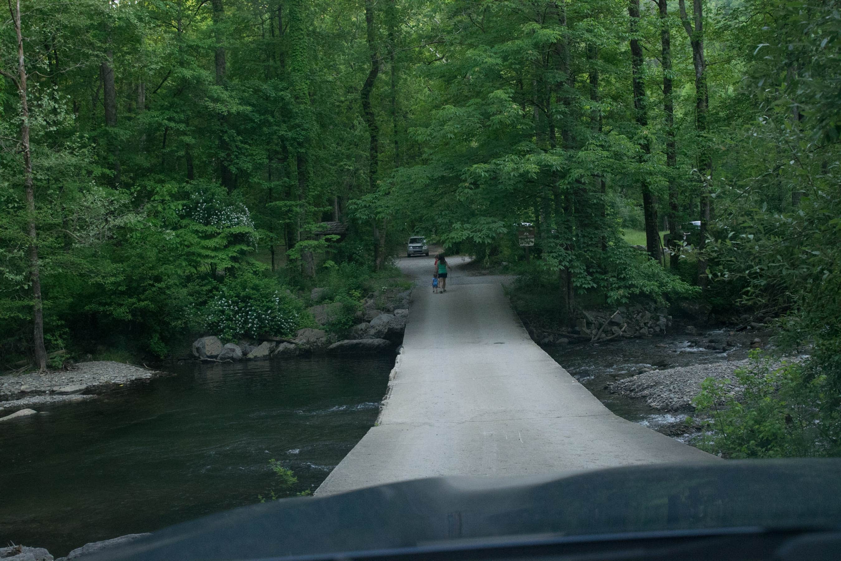 Camper-submitted photo at Double Camp/Citico Creek near Tallassee, TN