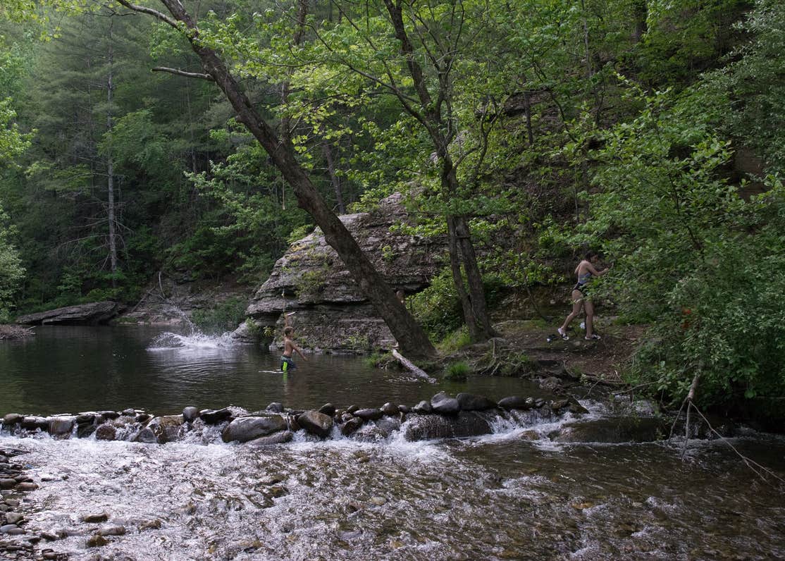 Double Camp/Citico Creek Camping The Dyrt