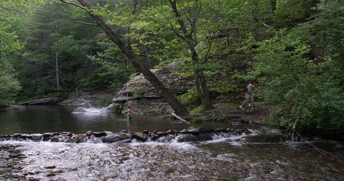 Double Camp/Citico Creek