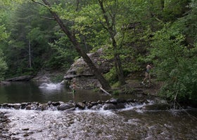 Double Camp/Citico Creek