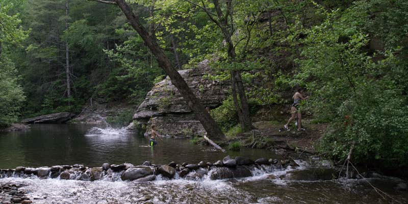 Camper submitted image from Double Camp/Citico Creek